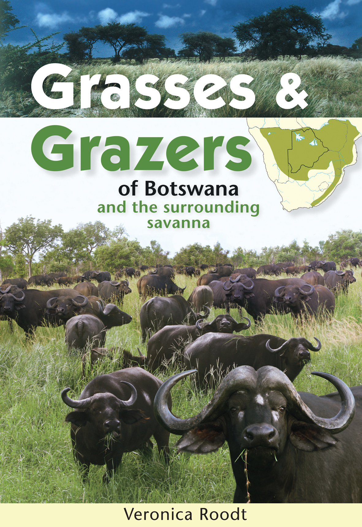 Grasses Amp Grazers Of Botswana Amp The Surrounding Savanna By